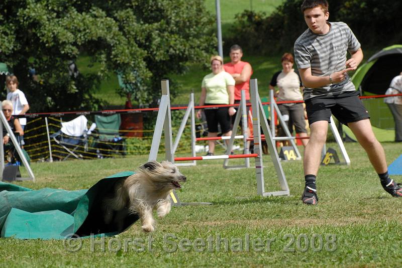 agistaats08 (174).JPG